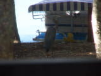 100_5679.jpg